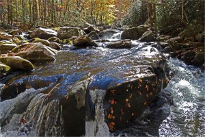 Fall stream