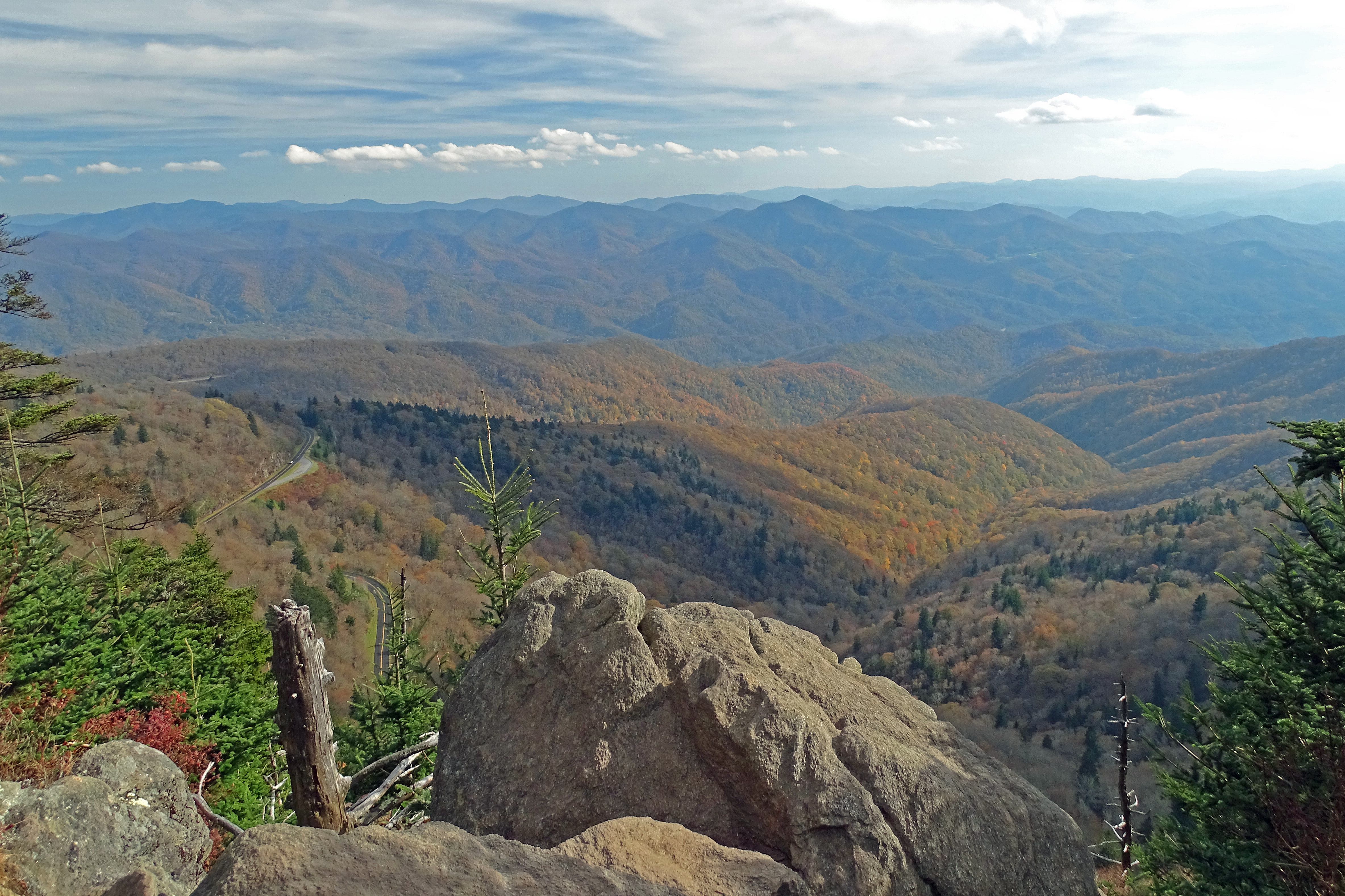 A mile up in the NC Smokies