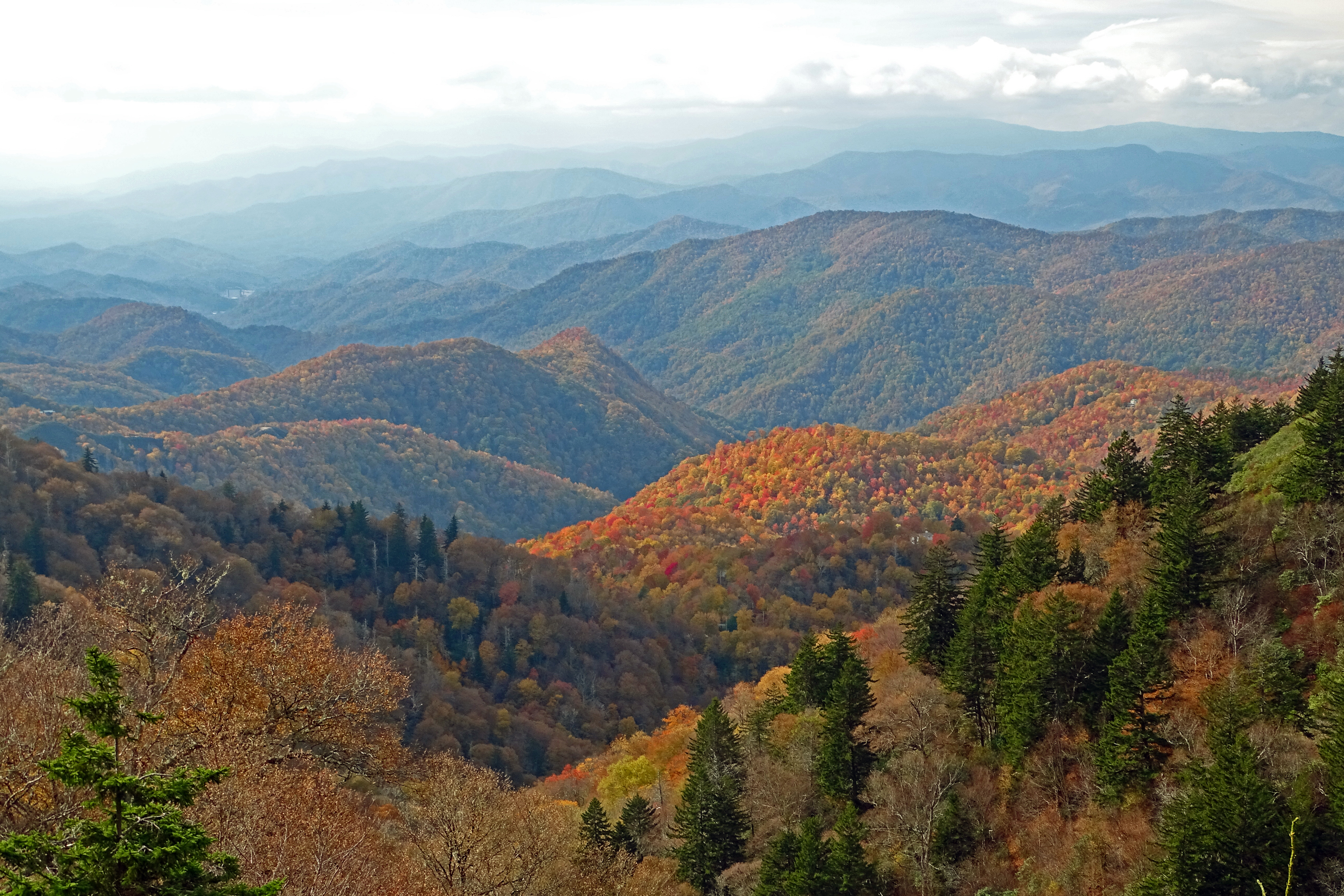 Fall in the Greatr Smoky Mountains