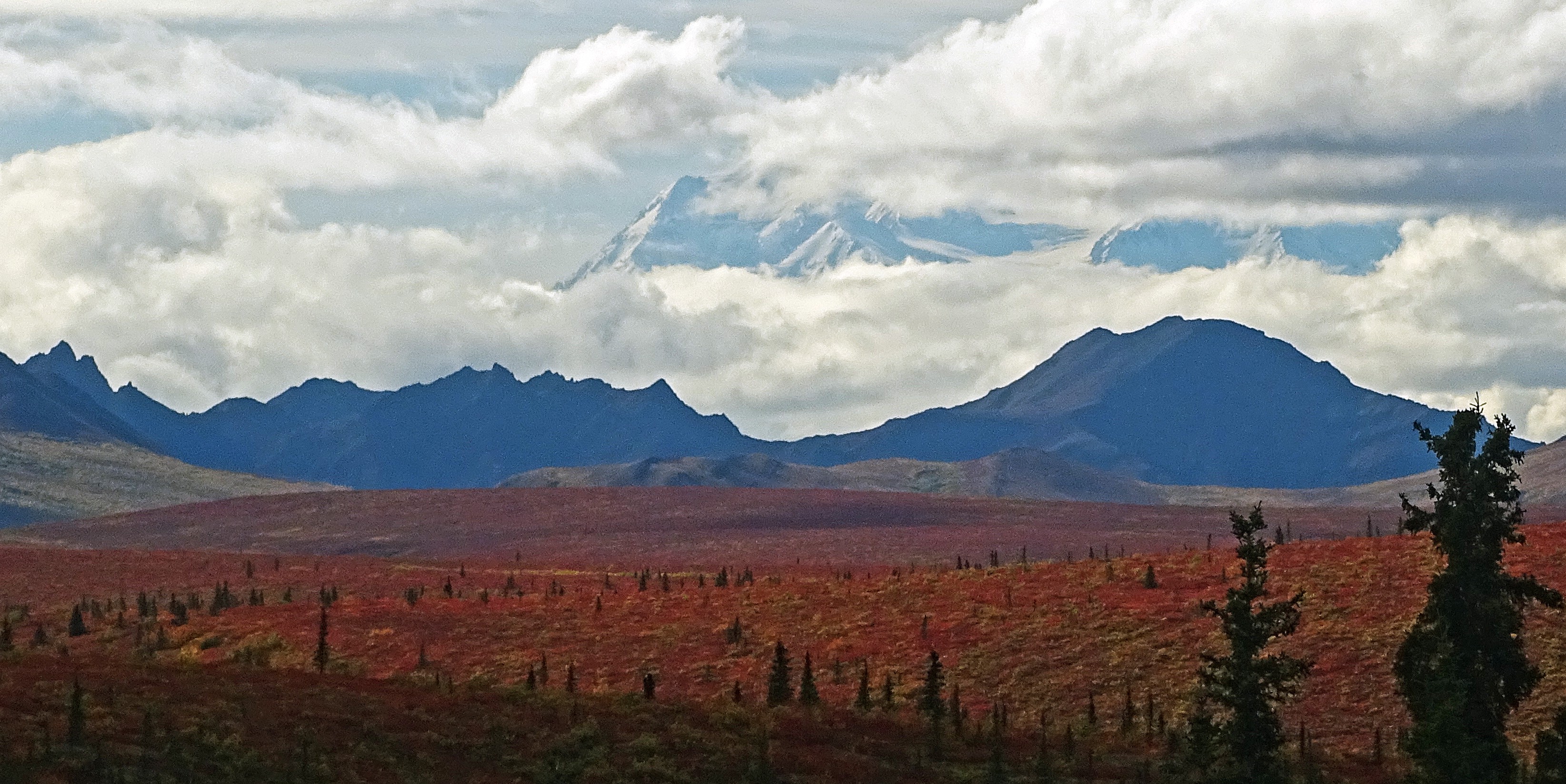 Denali’s Fall Splendor – Abba's Art